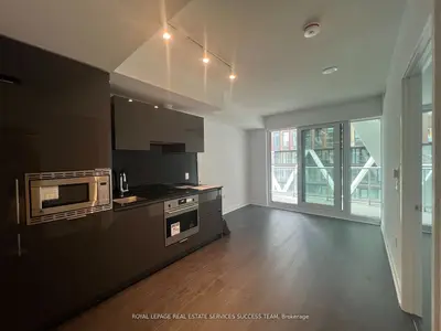 230 Simcoe Street 1337, Toronto C01, On M5t 0g7