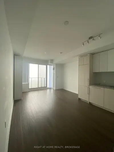 115 Blue Jays Way 4203, Toronto C01, On M5v 0n4
