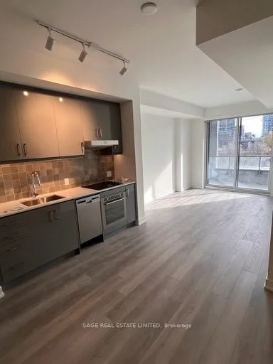 9 Tecumseth Street 316, Toronto C01, On M5v 3g4