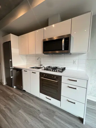 458 Richmond Street W 704, Toronto C01, On M5v 0s9