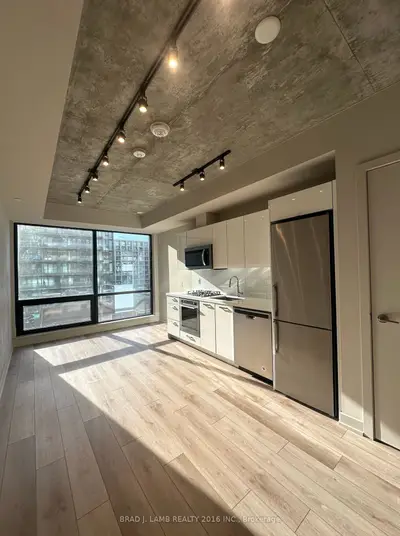 458 Richmond Street W 407, Toronto C01, On M5v 0s9