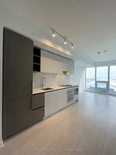 55 Mercer Street 3315, Toronto C01, On M5v 0w4