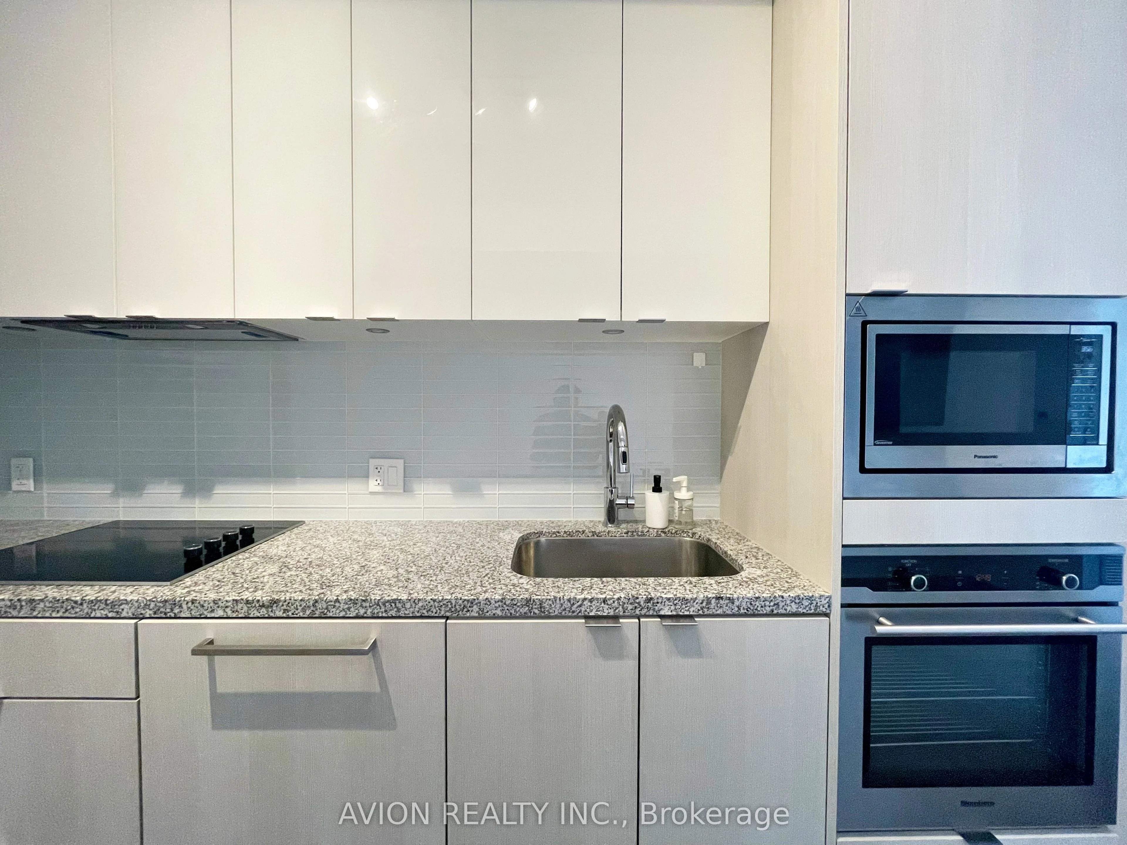 115 Blue Jays Way 3010, Toronto C01, On M5v 0n4