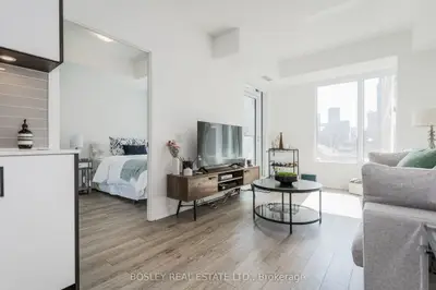 543 Richmond Street W 314, Toronto C01, On M5v 1y6