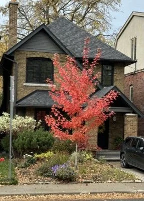 Detached in Toronto