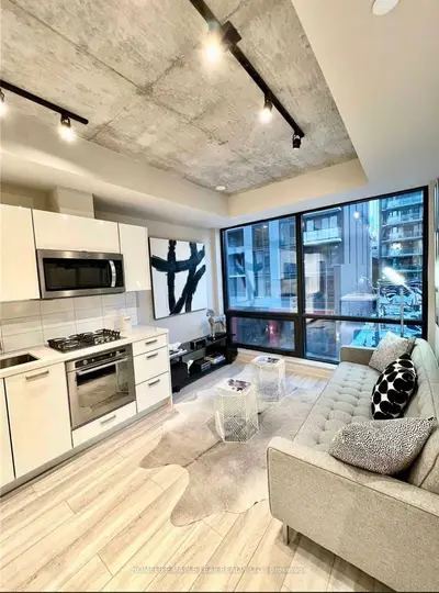 458 Richmond Street W 803, Toronto C01, On M5v 0s9