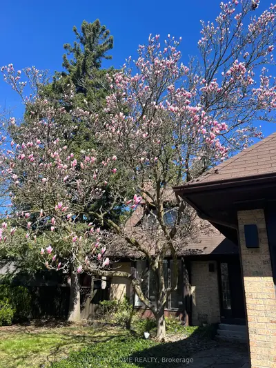 Detached in Toronto