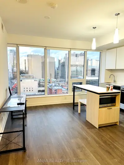 203 College Street 1207, Toronto C01, On M5t 1p9