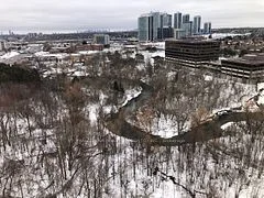 25 Adra Grado Way 1731, Toronto C15, On M2j 0h6