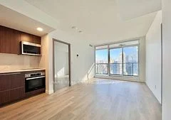 38 Widmer Street 3805, Toronto C01, On M5v 0p7