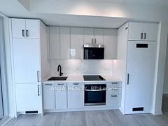 280 Dundas Street W 802, Toronto C01, ON M5T 1V4