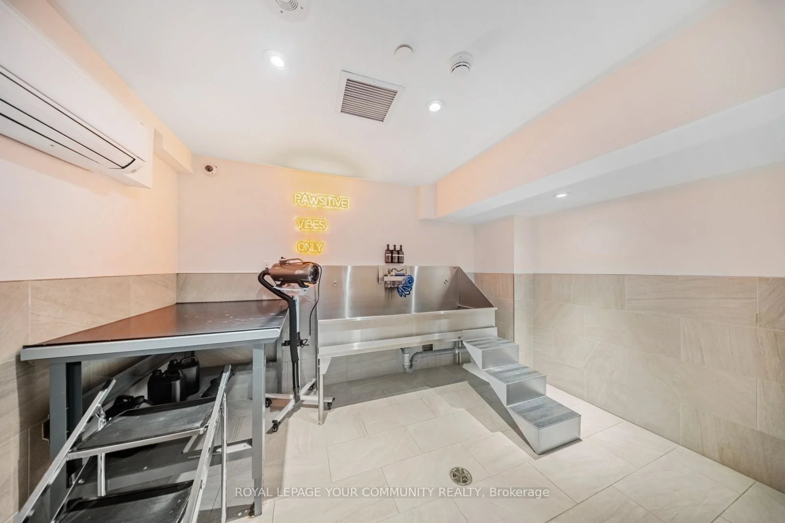 484 Spadina Avenue 315, Toronto C01, ON M5S 0E4