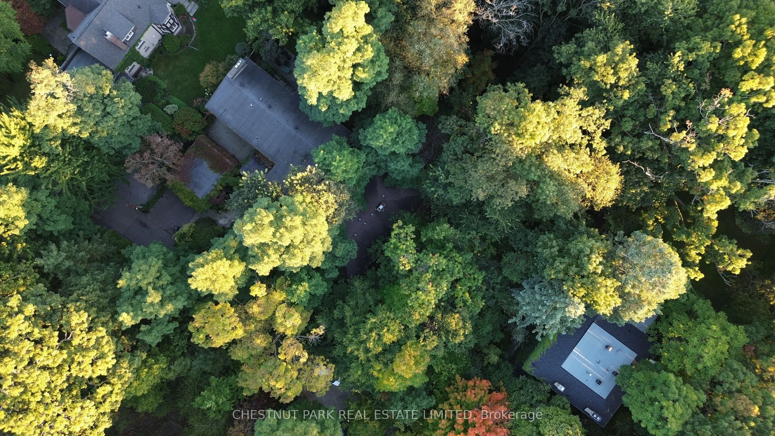 6C Wychwood Park, Toronto C02, ON M6G 2V5