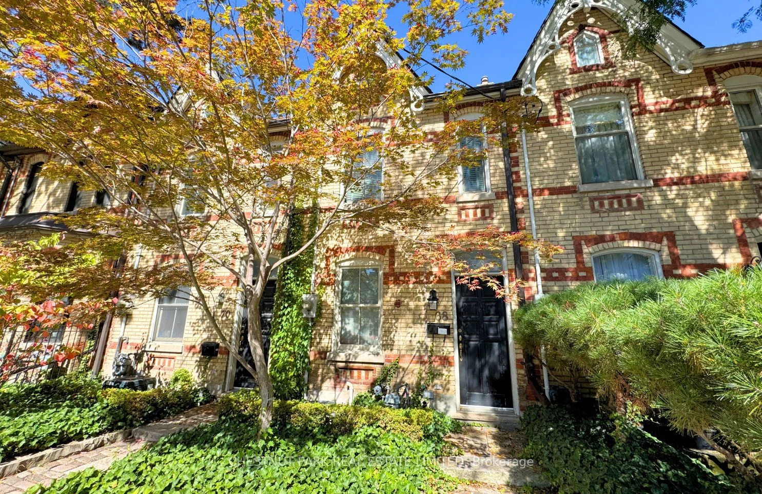 68 Belmont Street, Toronto C02, ON M5R 1P8