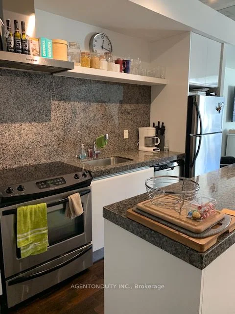 75 Portland Street 308, Toronto C01, ON M5V 2M9
