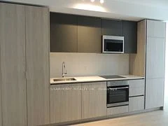 8 Widmer Street 3307, Toronto C01, On M5v 0w6