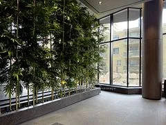 110 Broadway Avenue 613S, Toronto C10, ON M4P 1V7