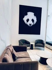 20 Edward Street 814, Toronto C01, ON M5G 0C5