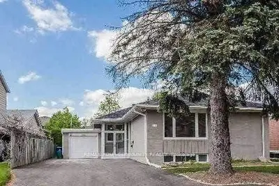 16 Urbandale Avenue Bsmt, Toronto C14, On M2m 2h1