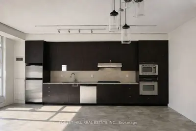 23 Brant Street 207, Toronto C01, On M5v 2l5