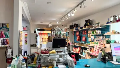 584 Church Street, Toronto, On M4y 2e5