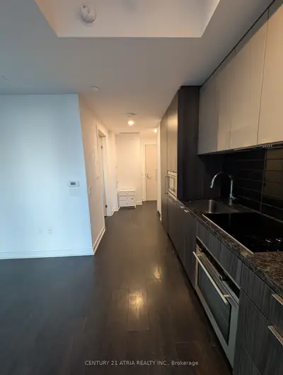 115 Blue Jays Way 3108, Toronto C01, On M5v 0n4