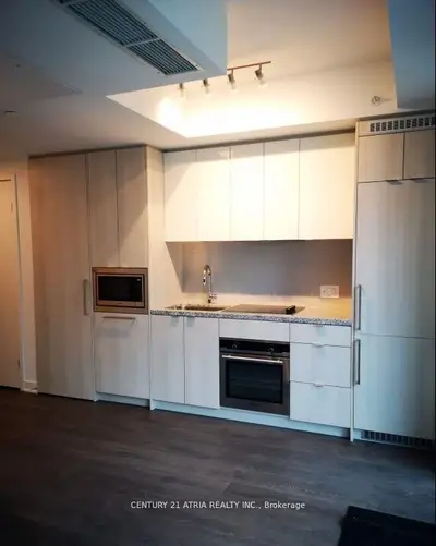 115 Blue Jays Way 2908, Toronto C01, On M5v 3t3