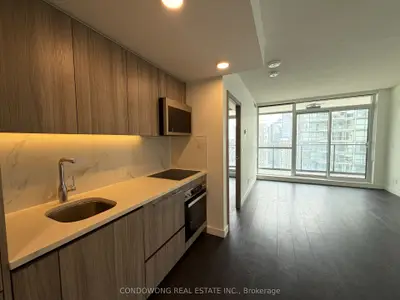 38 Widmer Street 4305, Toronto C01, On M5v 0p7