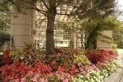 88 Grandview Way 916, Toronto C14, On M2n 6v6