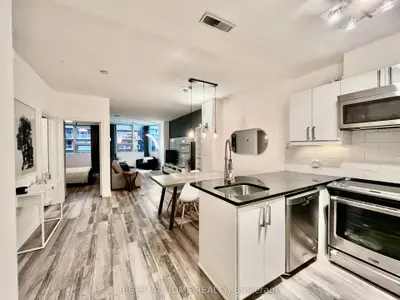 393 King Street W 1106, Toronto C01, On M5v 3g8