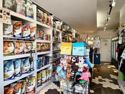 3232 Yonge Street Main, Toronto, On M4n 2l4