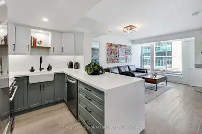 85 East Liberty Street 727, Toronto C01, On M6k 3r4