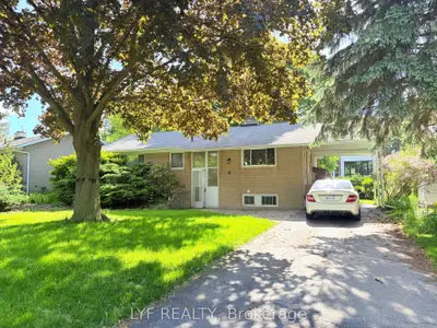 6 Thorn Lane Bsmt Rm 4, Toronto C13, On M3b 2z9