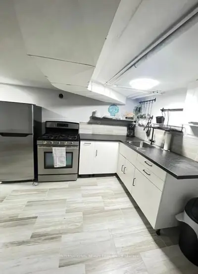 132 Grace Street Lower, Toronto, On M6j 2s2
