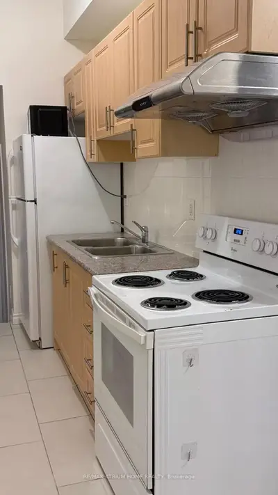 413 Spadina Avenue 201, Toronto, On M5t 2g6
