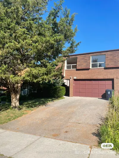 Semi-Detached in Toronto