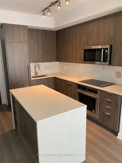 38 Iannuzzi Street 1509, Toronto, On M5v 0s2