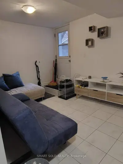 Lower 66 Bellevue Avenue, Toronto, On M5t 2n4