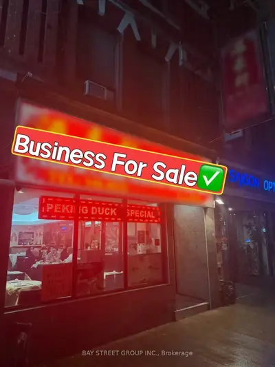 338 Spadina Avenue, Toronto, On M5t 2g2