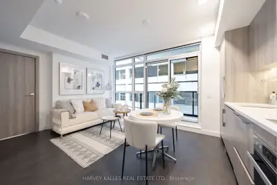 38 Widmer Street 710, Toronto, On M5v 2e9