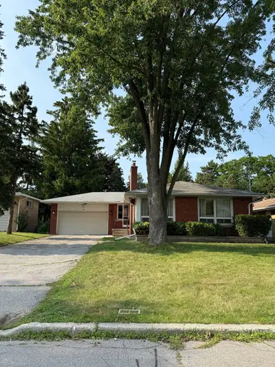 232 Newton Drive Basement B, Toronto, On M2m 2p3