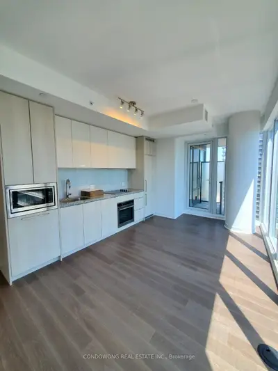 115 Blue Jays Way 4515, Toronto, On M5v 0n4