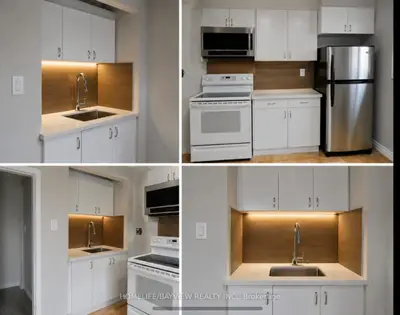 115 Codsell Avenue Bsmnt, Toronto, On M3h 3w3