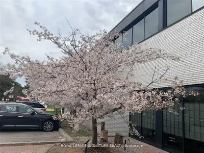 6 Sakura Way 272, Toronto, On M3c 1z5
