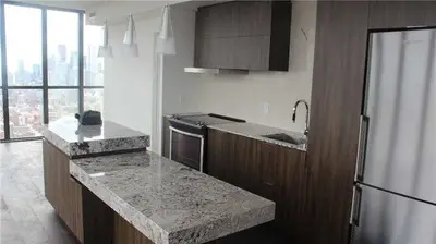 101 Charles Street E 4601, Toronto C08, ON M4Y 1V2