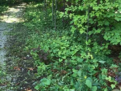 22 Sherwood Avenue, Toronto C10, ON M4P 2A7