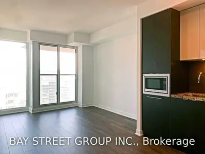 125 Blue Jays Way 4503, Toronto C01, ON M5V 0L7