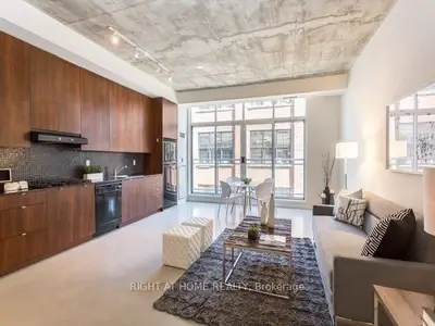 23 Brant Street 313, Toronto C01, ON M5V 2L9