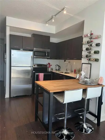 20 Bruyeres Mews 1607, Toronto C01, ON M5V 0G8