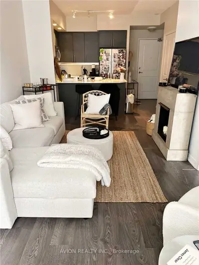 85 East Liberty Street 1113, Toronto C01, ON M6K 3R4